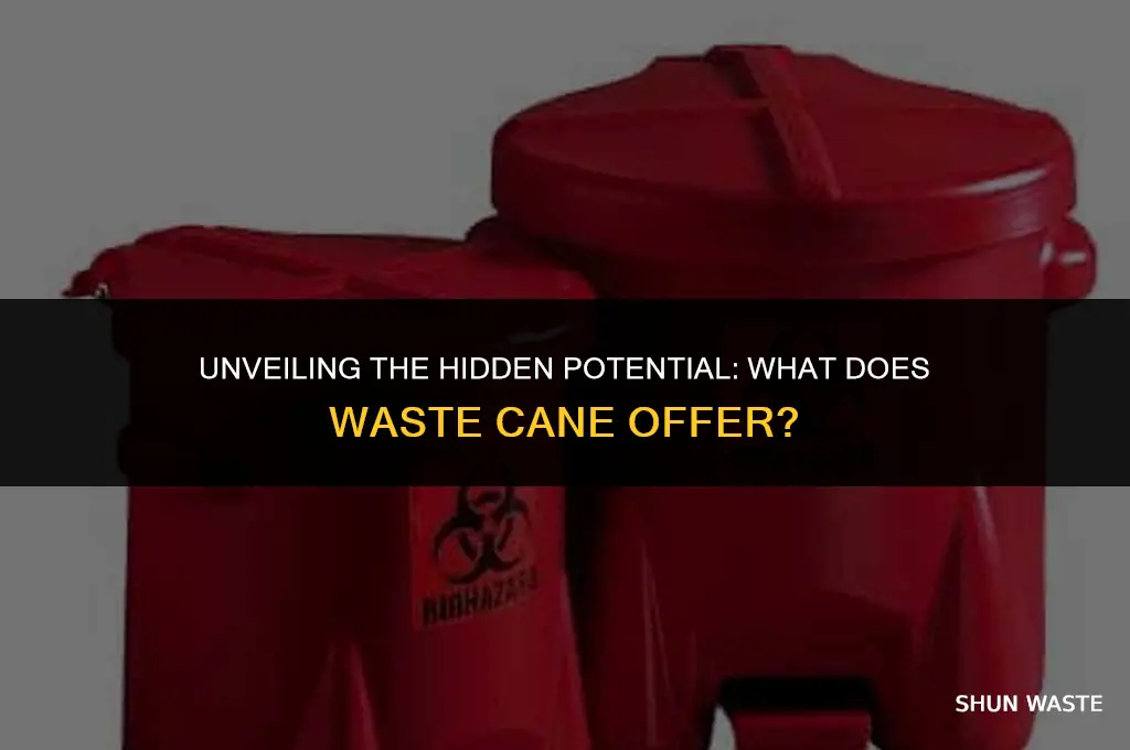 what does waste cane