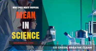 Decoding Waste Disposal: A Scientific Journey Through Trash Transformation