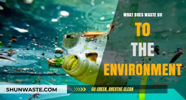 The Environmental Impact of Waste: A Comprehensive Overview