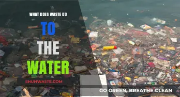 The Impact of Waste on Water Quality: A Comprehensive Overview