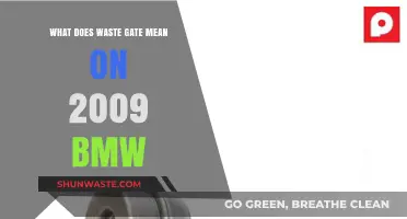 Decoding the Waste Gate: A Deep Dive into Your 2009 BMW's Turbocharging System