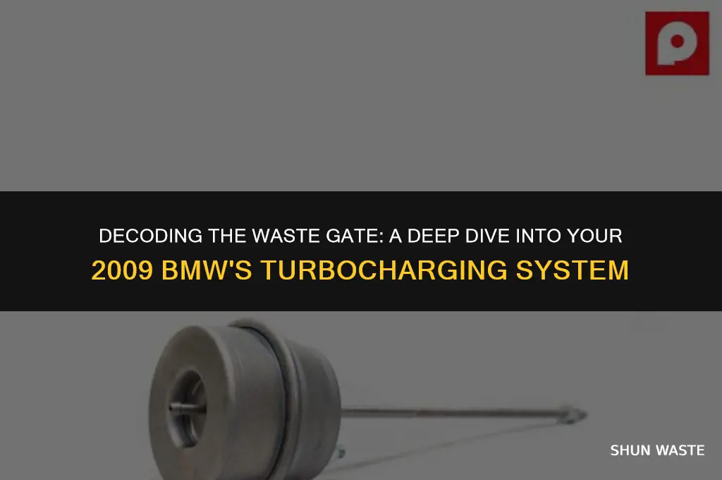 what does waste gate mean on 2009 bmw