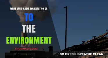 The Environmental Impact of Waste Incineration: A Critical Look