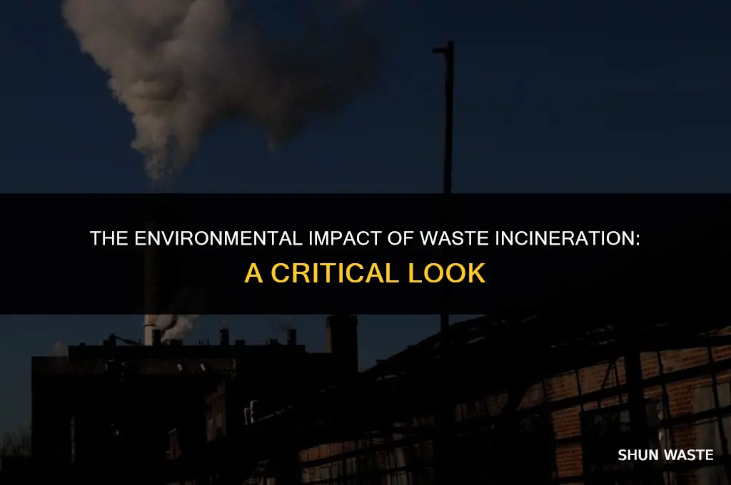 what does waste incineration do to the environment