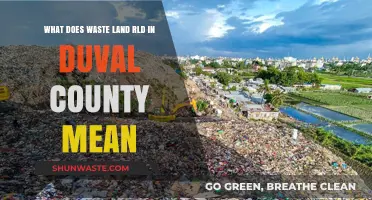 Decoding the Meaning of Waste Land RLD in Duval County