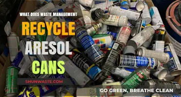 Sustainable Spray: The Journey of Aerosol Cans in Waste Management's Recycling Stream