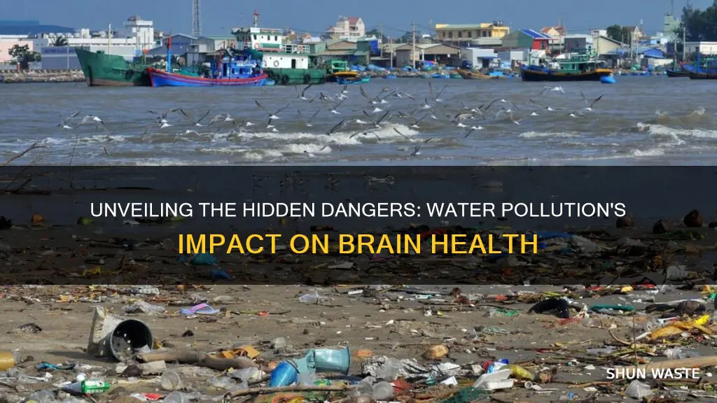 what does water pollution cause brainly