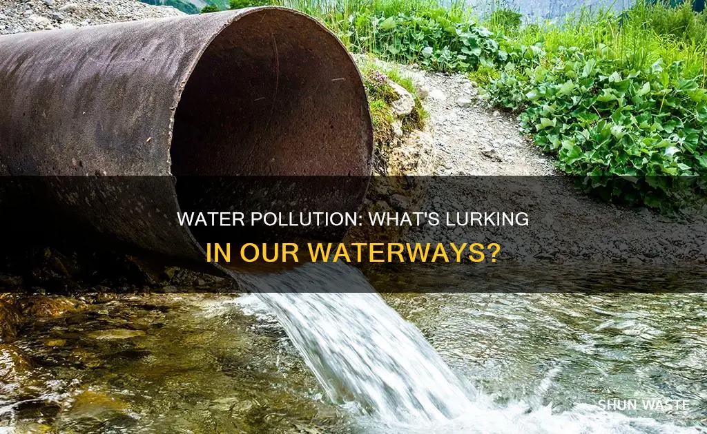 what does water pollution contain