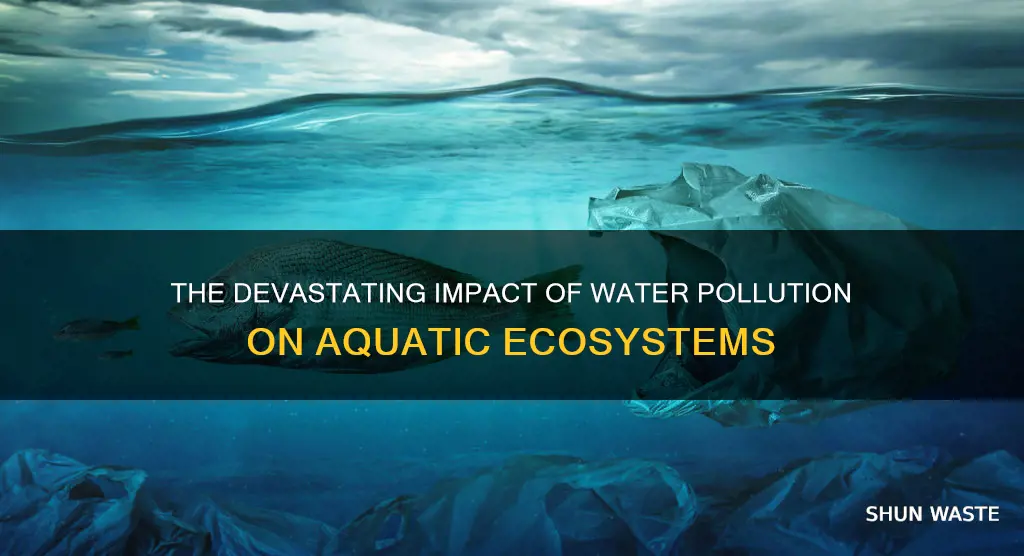 what does water pollution do to aquatic life