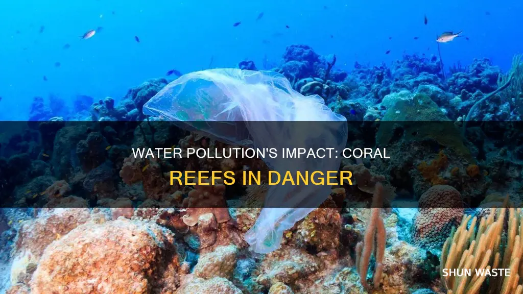 what does water pollution do to coral reefs