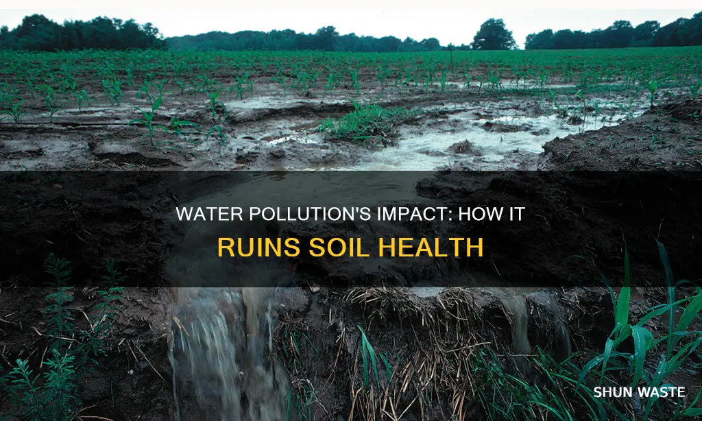 what does water pollution do to the soil