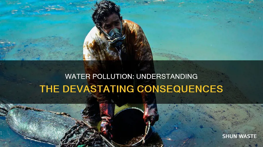 what does water pollution lead to