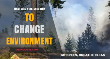 Transforming Wenatchee: Key Steps to Revitalize Our Environment and Future