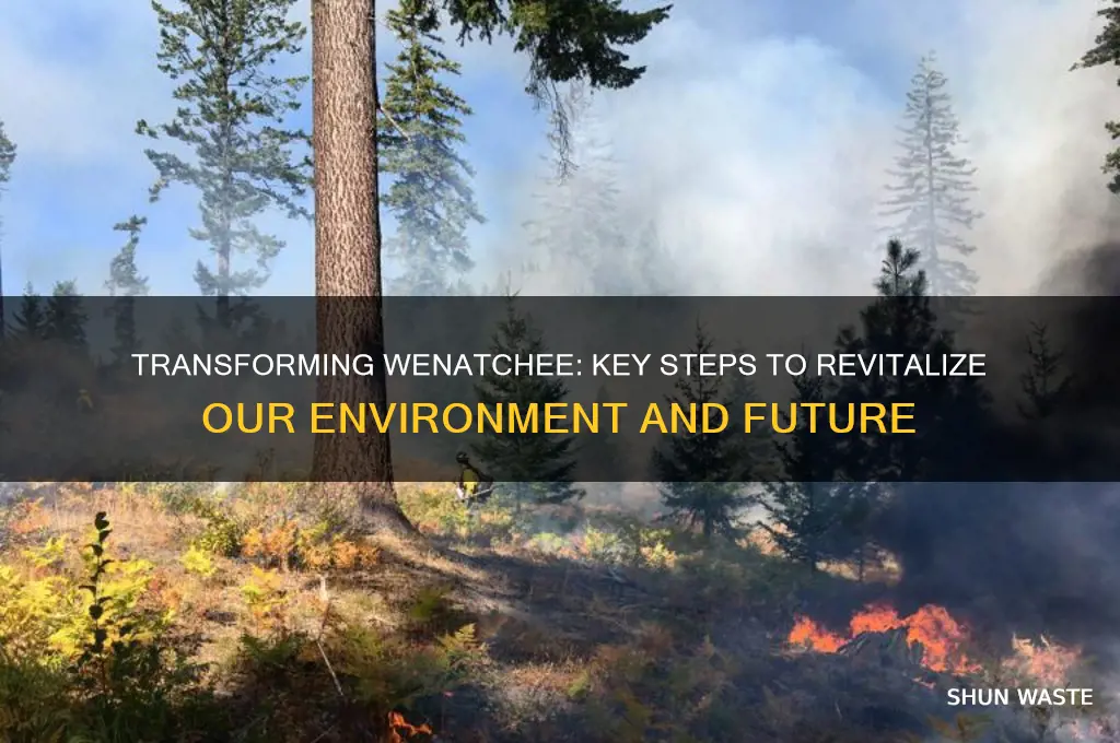 what does wenatchee need to change environment
