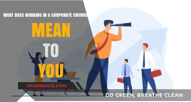 Corporate Life Unveiled: My Perspective on Professional Growth and Culture