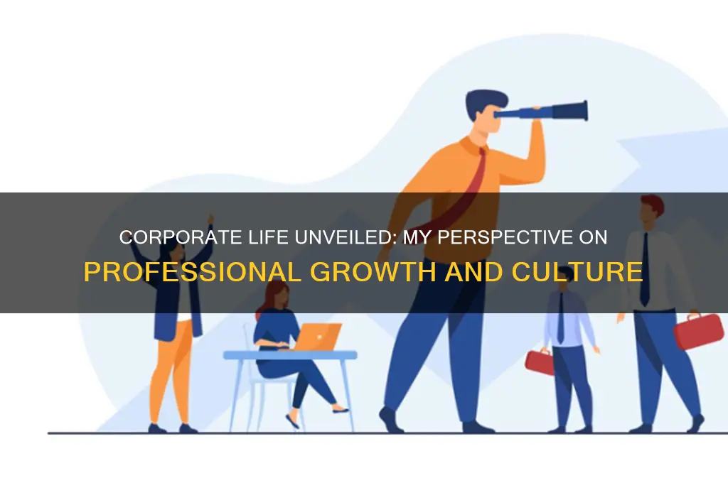 what does working in a corporate environment mean to you