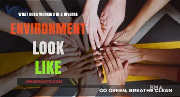 Embracing Diversity: A Day in the Life of a Multicultural Workplace