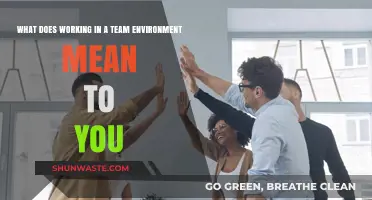 Collaborating Together: The Power of Teamwork and Shared Goals in Work