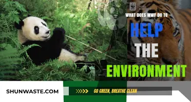 WWF's Environmental Impact: Conservation Efforts and Global Sustainability Initiatives