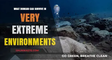 Extreme Survival: Domains Thriving in Harsh, Unforgiving Environments