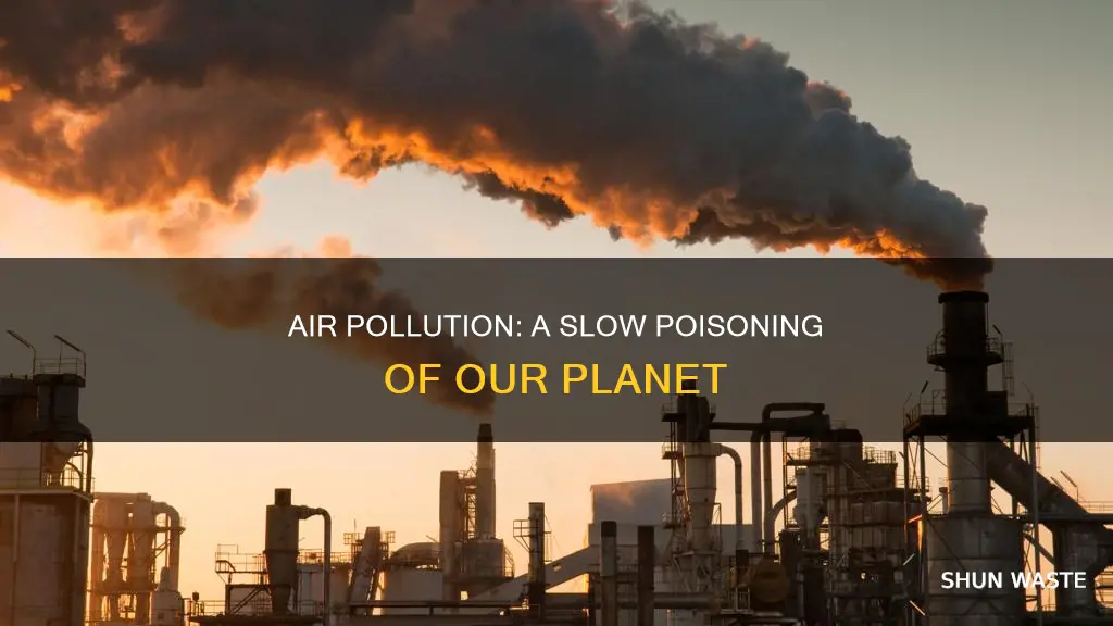 what dose air pollution do