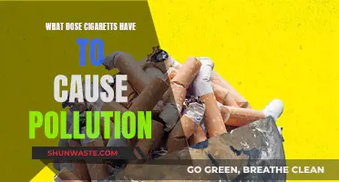 Unveiling the Hidden Environmental Impact of Cigarettes