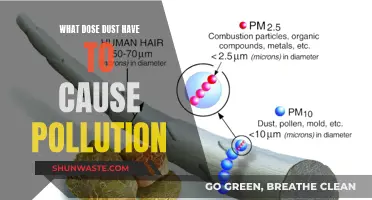 Unveiling the Hidden Dangers: What Dust Really Does to Cause Pollution