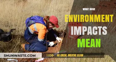 Understanding Environmental Impacts: How Our Actions Shape the Planet