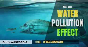 Unseen Water Pollution: The Hidden Impact on Our World