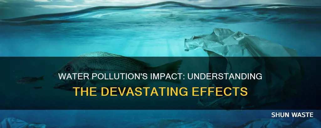 what dose water pollution effect