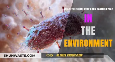 Bacteria's Vital Ecological Roles: Shaping Environments and Sustaining Life
