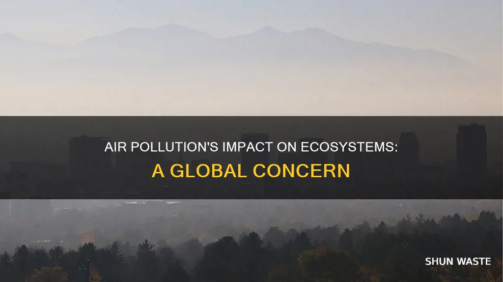 what ecosystem is affected by air pollution