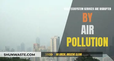 Air Pollution: Ecosystem Disruptors Revealed