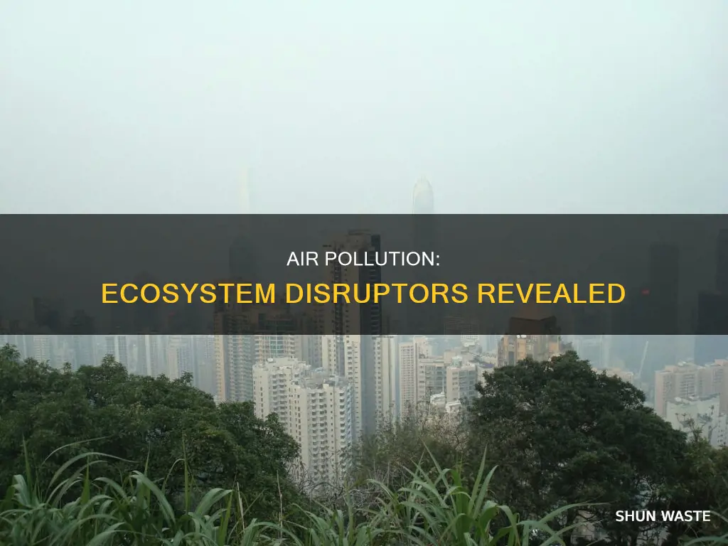 what ecosystem services are disrupted by air pollution