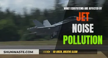 Jet Noise Pollution: Impact on Natural Habitats