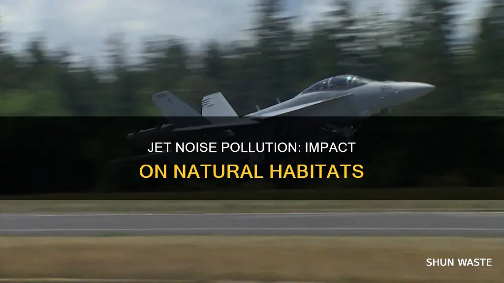 what ecosystems are affected by jet noise pollution