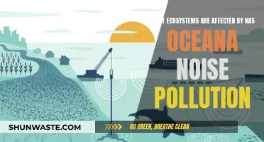 Oceana's Noisy Pollution: Impact on Ecosystems