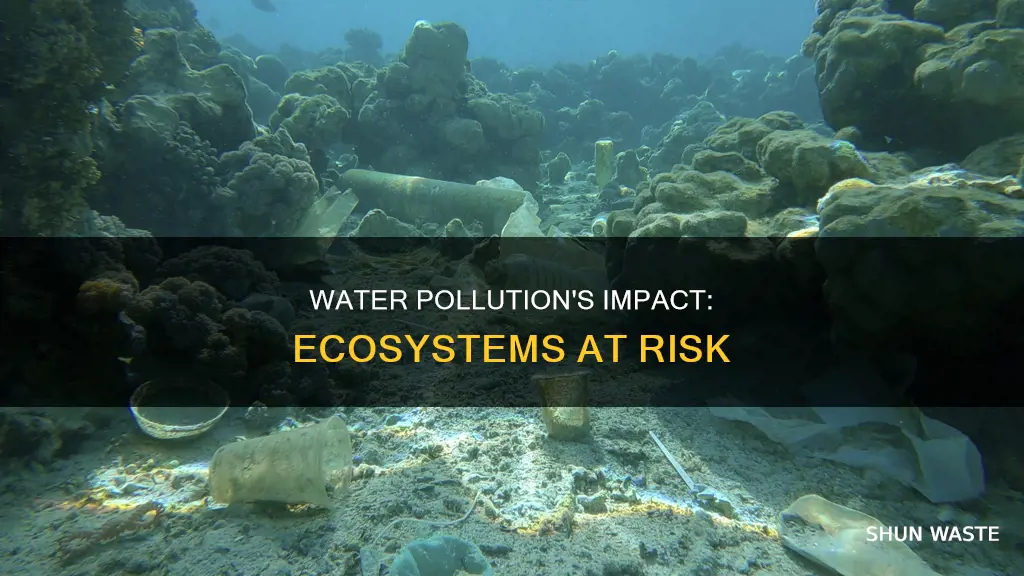 what ecosystems are affected by water pollution