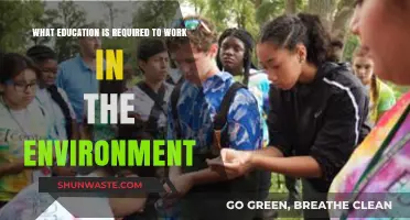 Essential Environmental Education: Degrees and Skills for Green Careers