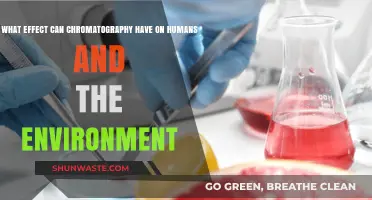 Chromatography's Impact: Human Health and Environmental Consequences Explored