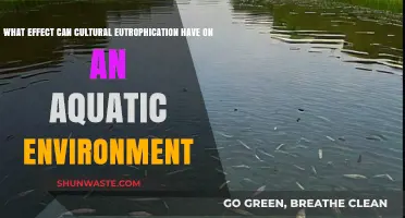 Cultural Eutrophication: Devastating Impacts on Aquatic Ecosystems and Biodiversity