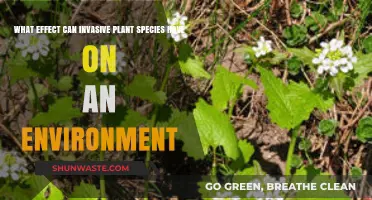 Invasive Plants: Disrupting Ecosystems and Threatening Native Biodiversity