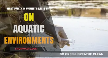 Nutrient Release Impacts: Transforming Aquatic Ecosystems and Water Quality