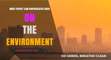 Particulate Matter's Impact: Environmental Consequences and Urgent Solutions