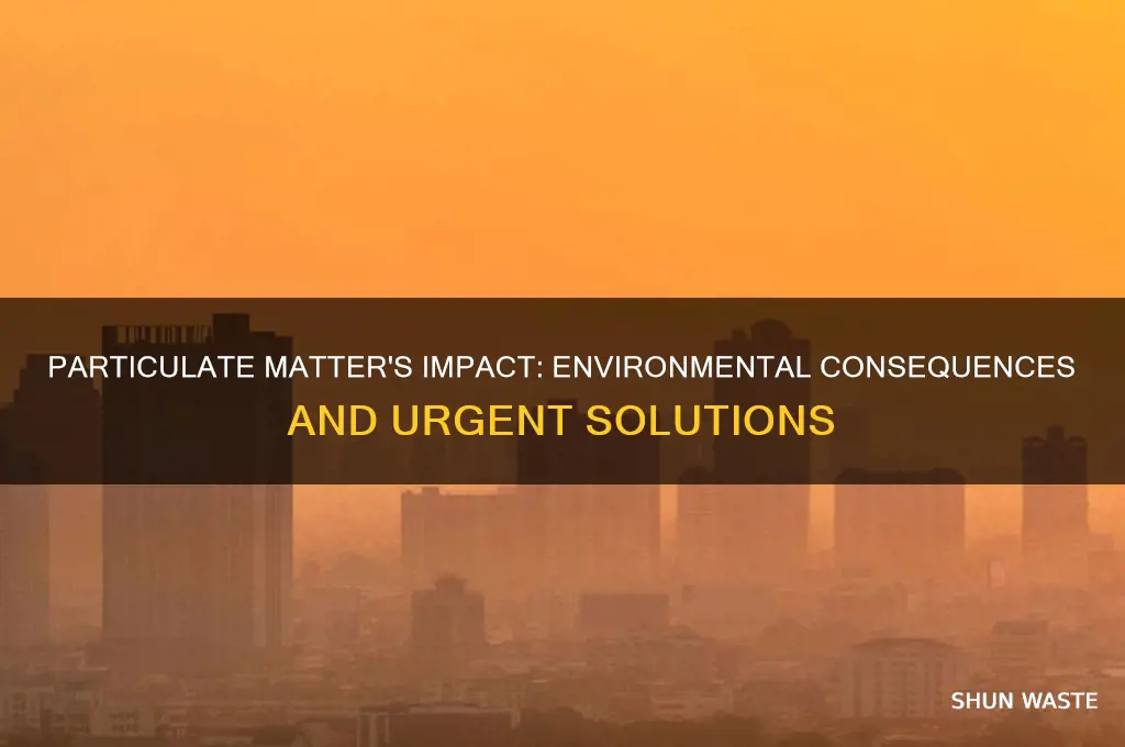 what effect can particulates have on the environment