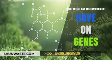 Environmental Impact: How Surroundings Shape and Influence Our Genetic Code