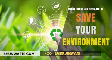 Small Actions, Big Impact: How You Can Save the Environment