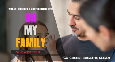 Air Pollution: How It Impacts Your Family's Health