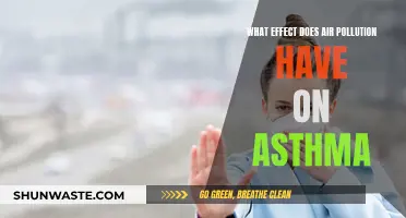 Air Pollution: Asthma's Worst Enemy