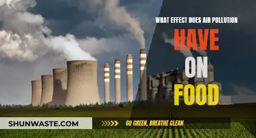 Air Pollution's Impact on Our Food